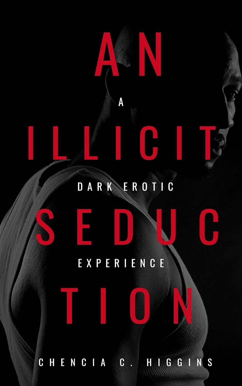 An Illicit Seduction: a Dark Erotic Experience cover