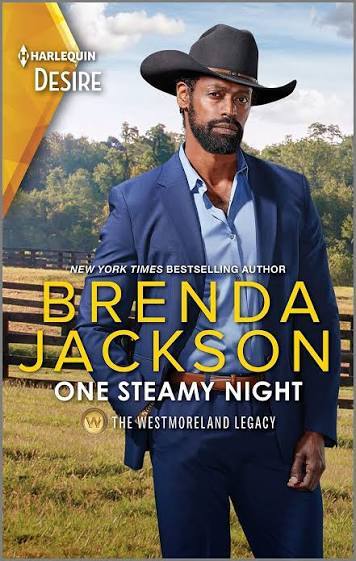 One Steamy Night cover