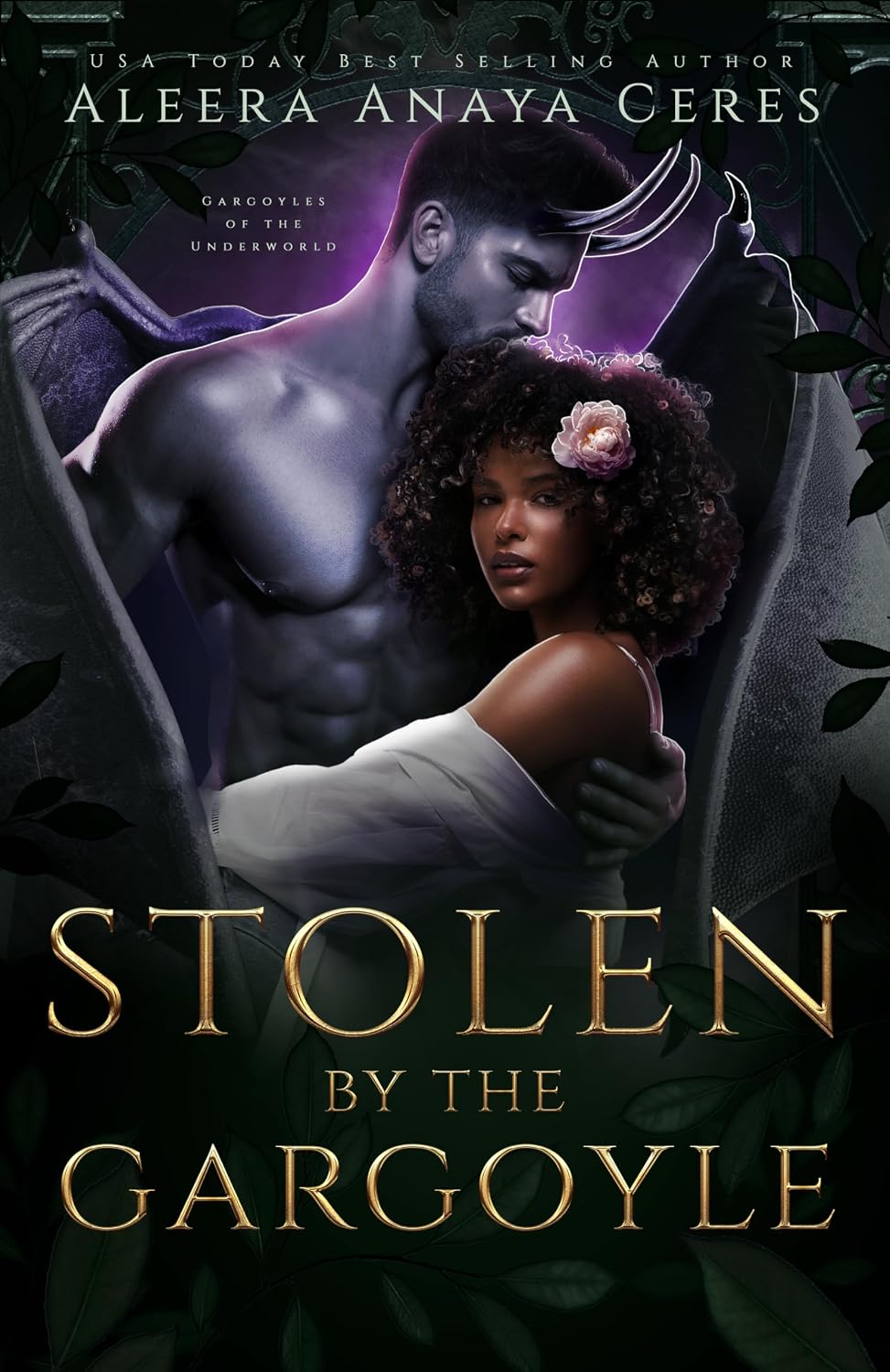 Stolen by the Gargoyle cover