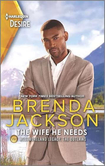 The Wife He Needs cover