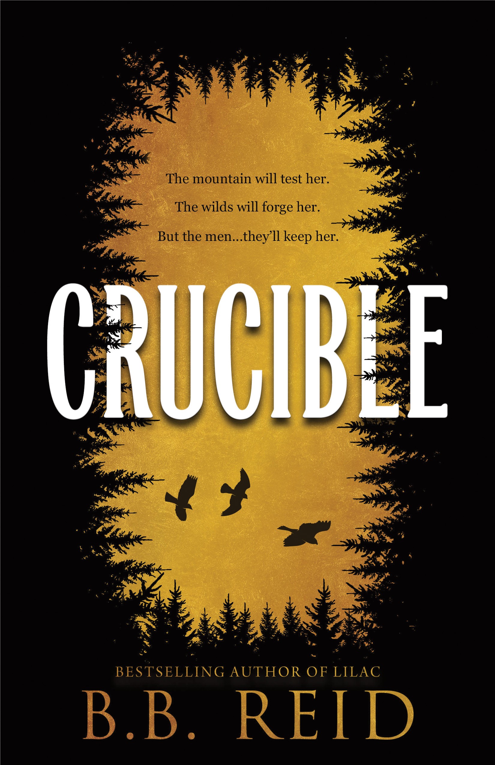 Crucible cover
