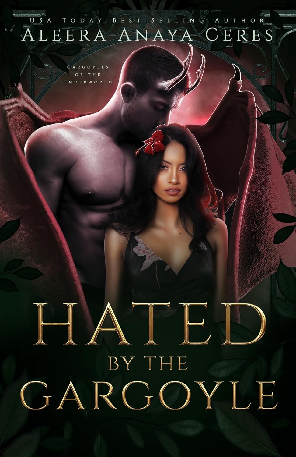 Hated by the Gargoyle cover