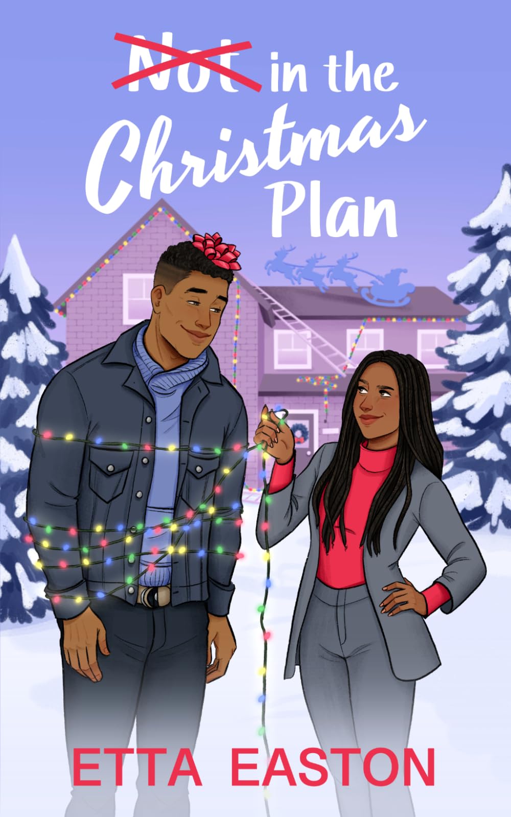 Not In The Christmas Plan cover